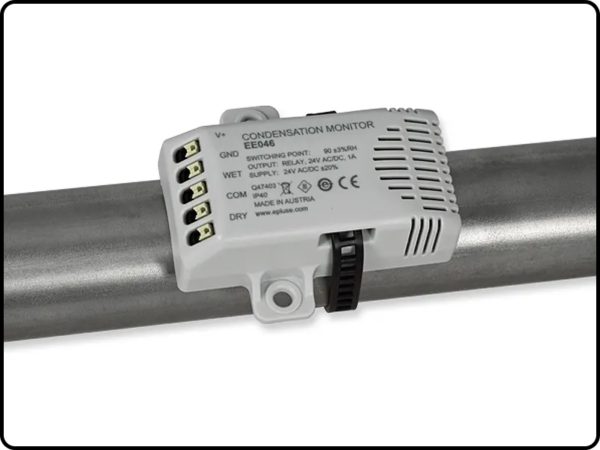 EE046 humidity and dewpoint condensation monitor for wall/pipe mount